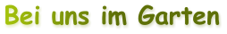 Bei uns im Garten